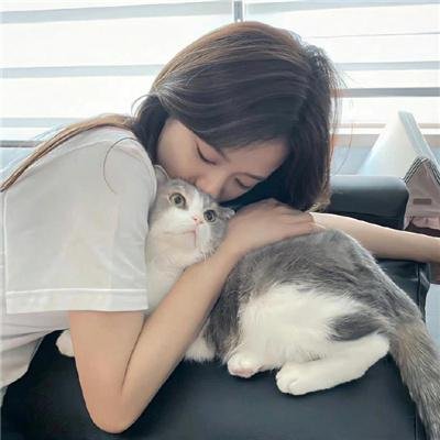 狗年